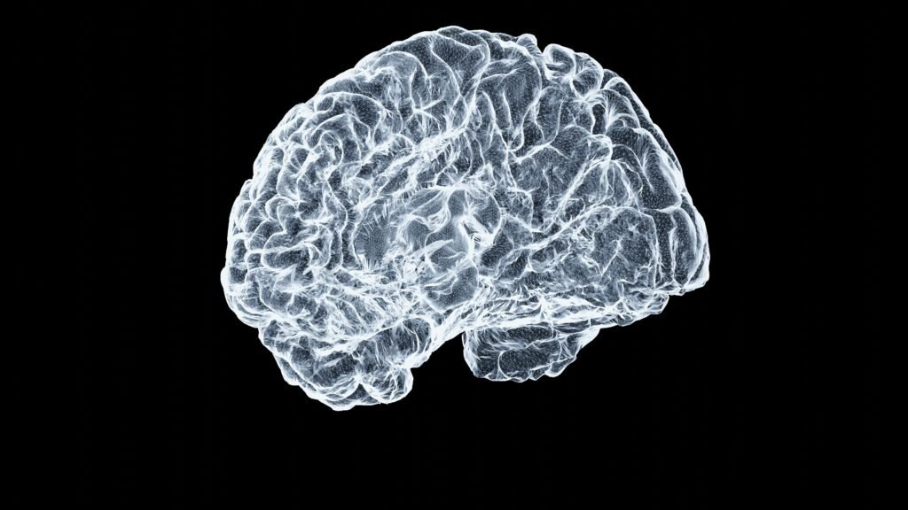 How Nootropics Work: Neurotransmitters, Receptors, and Brain Chemistry how nootropics work neurotransmitters, receptors, and brain chemistry