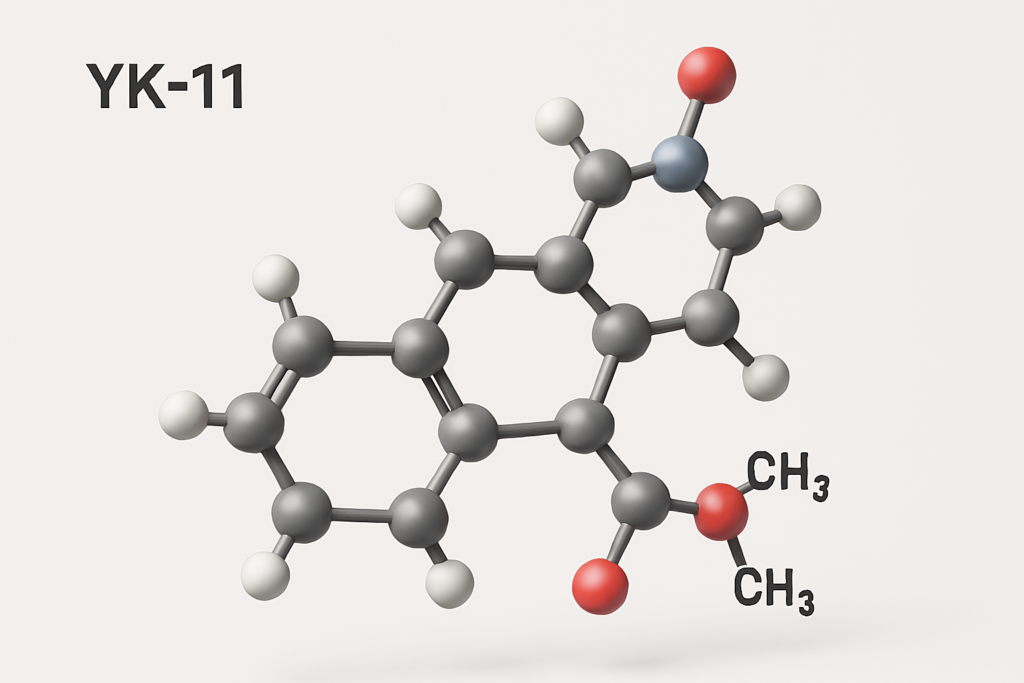 YK-11: Benefits, Risks, and What Science Says a 3d rendering of yk