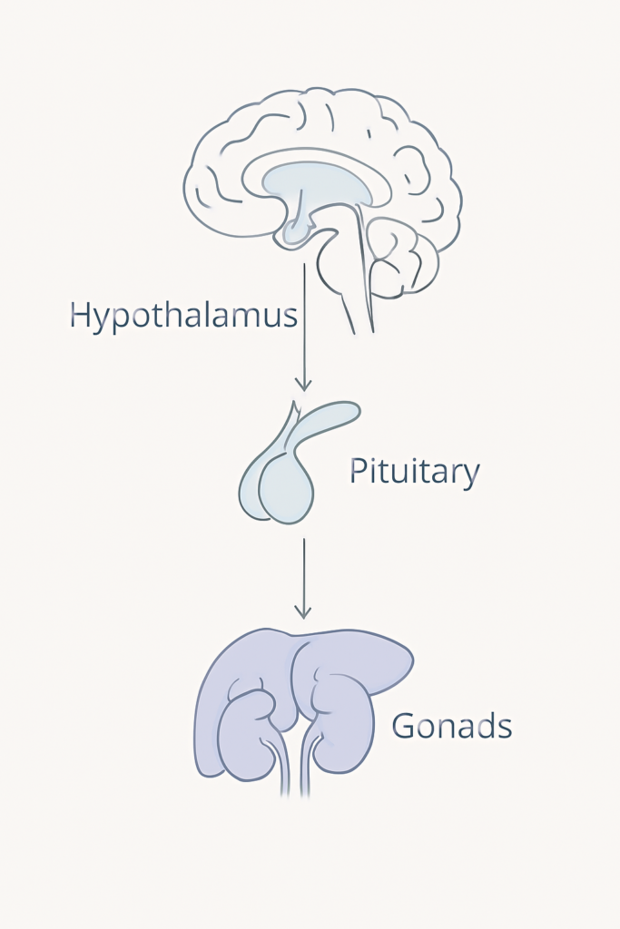 laboratory closeup o