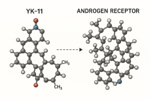 yk 11 benefits, risks, and what science says